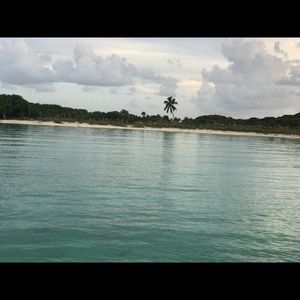 Meet your Posher, Maddie